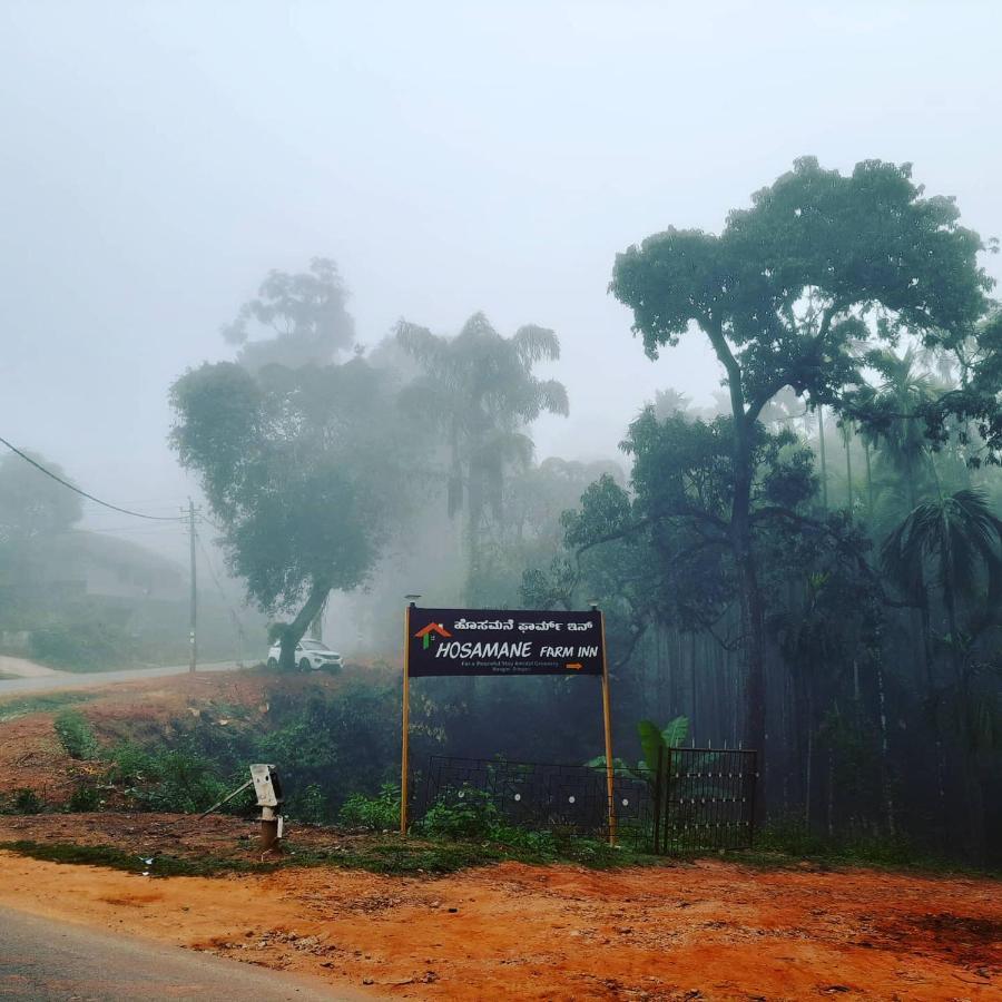 Hosamane Farm Inn Sringeri Ngoại thất bức ảnh