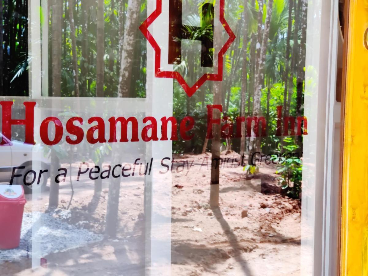 Hosamane Farm Inn Sringeri Ngoại thất bức ảnh