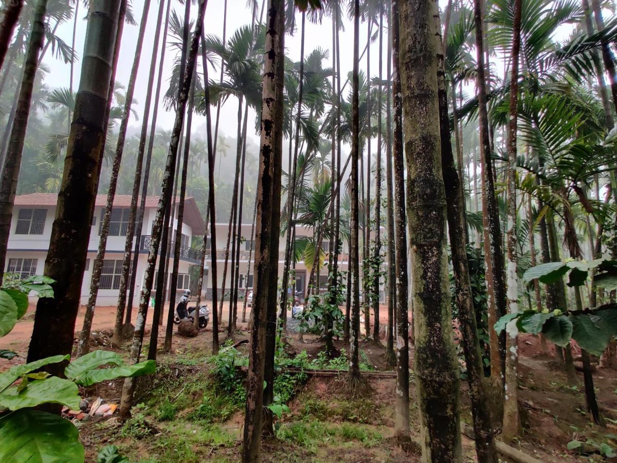 Hosamane Farm Inn Sringeri Ngoại thất bức ảnh