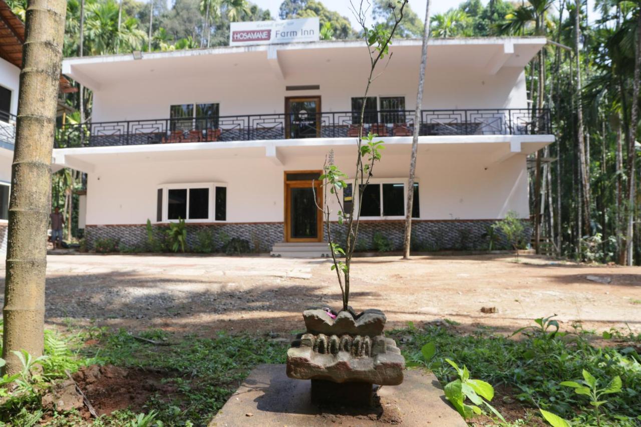 Hosamane Farm Inn Sringeri Ngoại thất bức ảnh