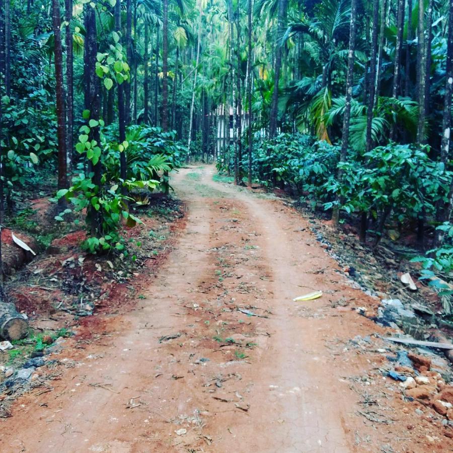 Hosamane Farm Inn Sringeri Ngoại thất bức ảnh